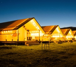 Глэмпинг в Ковчег