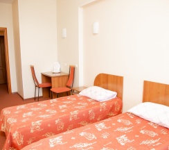 Стандартный двухместный номер в Пингвин