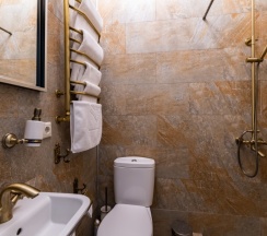Мансарда №9 в Busel park hotel