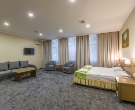 Двухместный номер Junior Deluxe двуспальная кровать в RENION PARK HOTEL