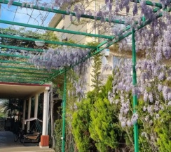 Двухместный номер Superior двуспальная кровать в Наш дом