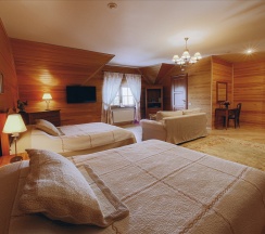 Полулюкс с раздельными кроватями в Alpenhof