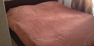 Атяшево: Мини-отель Атяшево