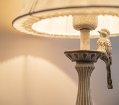 Номер люкс, корпус Нумера купца Озерова в Русские Сезоны