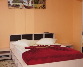 Двухместный номер Deluxe двуспальная кровать в Радуга