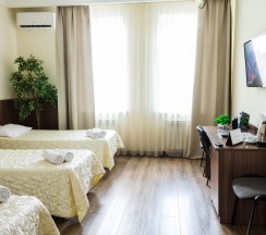 Трехместный стандарт в Аристоль