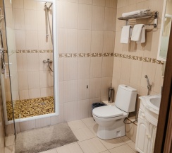 Бизнес стандарт в Аристоль