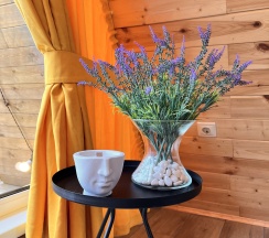 Дом в Eco house