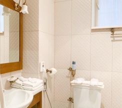 Номер улучшенный с 1 двуспальной кроватью в Барский флигель