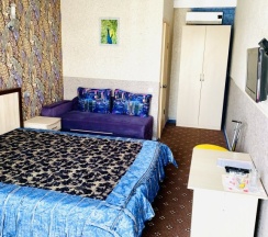 Двухместный номер Deluxe с балконом двуспальная кровать в 222