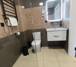 Делюкс DBL/SGL в Никольское