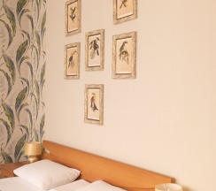 Семейный номер 2-х комнатный 4-х местный в Жемчуг