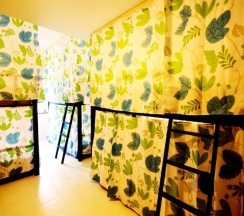 Кровать в общем номере с балконом и с красивым видом из окна в Early Bird Hostel Ayutthaya