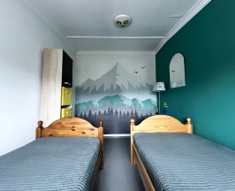 Двухместный номер Deluxe с двумя односпальными кроватями в Art hostel