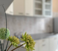 Однокомнатная квартира для семьи (для двоих) в Логос