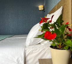 Двухместный номер Standard с балконом и с красивым видом из окна 2 отдельные кровати в Sokol