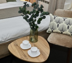 Трёхместный номер эконом-класса в Moi Smolny