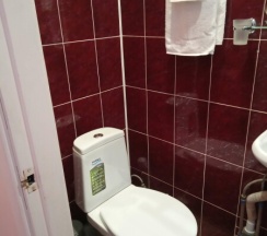 Стандарт в Градец