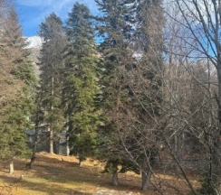 Стандарт Улучшенный в Potap