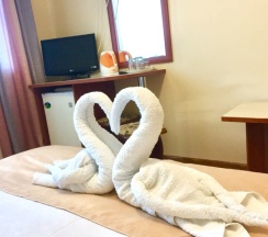 Стандартный двухместный номер с 1 кроватью или 2 отдельными кроватями в Эдельвейс