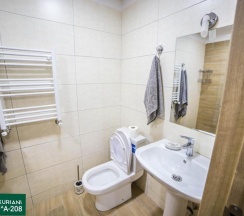 Студия с балконом в Bakuriani Plaza A 208