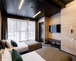 Стандарт Твин в Алтика