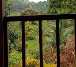 Одноместная вилла Standard в Phanom Bencha Mountain Resort
