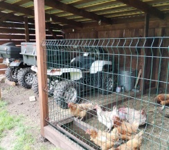 2-комнатный номер улучшенный семейный в Айsun