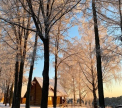Желто-лимонный дом 4+2 на первой линии в Усадьба Пан Фазан