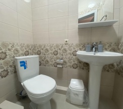 2-комнатный номер улучшенный люкс в Анастасия