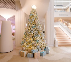 Studio Standart 19,7 в Well