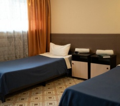 Эконом трехместный в Курский соловей