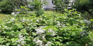 Южно-Сахалинск: Коттедж Гостевой дом
