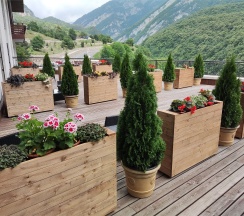 СТАНДАРТНЫЙ НОМЕР С ТЕРРАСОЙ в Forrest terrace