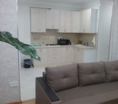 Апартаменты без балкона в Apart Hotel