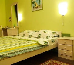 Комната стандарт с 1 двуспальной кроватью (с завтраком) в Villa Zastava