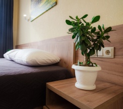 Номер Standard в Лофт