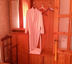 Номер Люкс одноместный №208 в Медведица