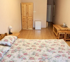 Номер эконом с 1 двуспальной кроватью в Спас-Каменка