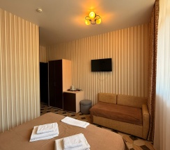 Двухместный номер с 1 двуспальной или 2 односпальными кроватями в Феникс