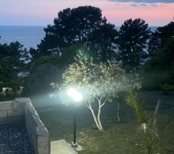 Четырехместный домик в Саучи