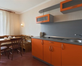 Стандарт с кухней (TWIN или DBL) в Москвич