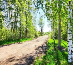 Коттедж эконом в Ильмень