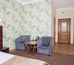 Номер стандарт №101 в Hotel central