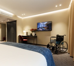 Классик для гостей с ограниченными физическими возможностями в Helen Hotel