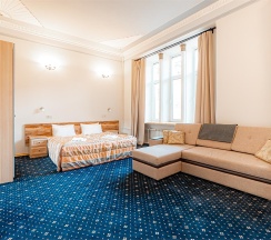 Комфорт в Александр Hotel
