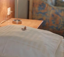 Одноместные апартаменты в Hotel Am Kurfuerstenplatz - Messe