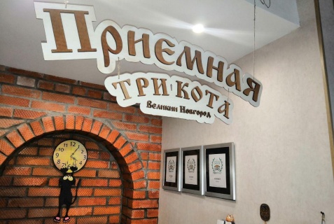 Гостевой дом «Три кота», Великий Новгород — фото 4