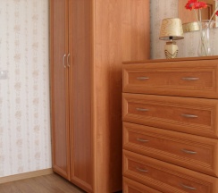 Номер Economy в Nargilia