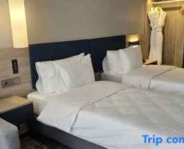 Двухместный номер Comfort (двуспальная кровать) в West Plaza